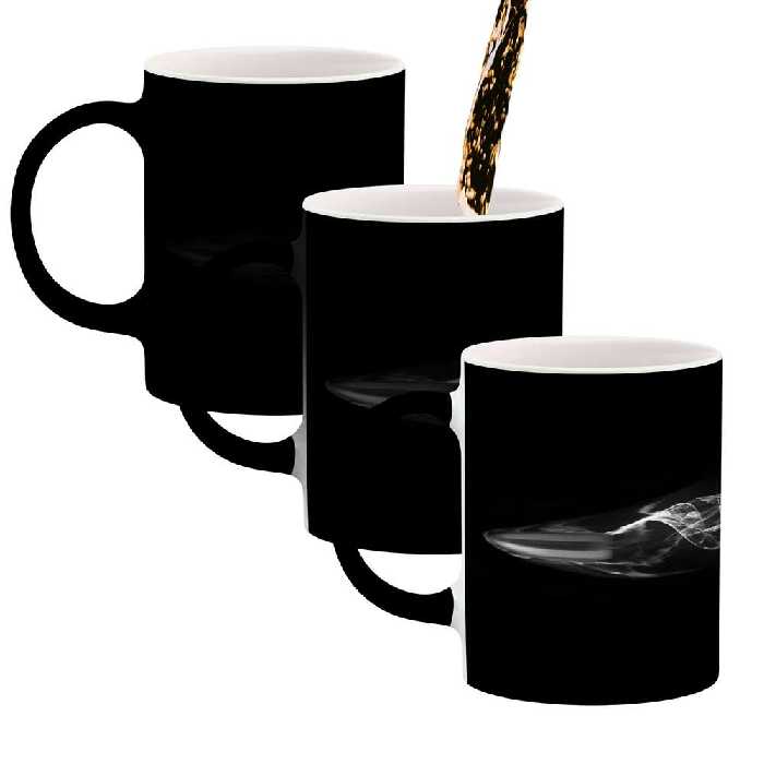 ماگ حرارتی کاکتی طرح فانتزی مدل mgh19503