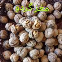 گردو اورامان  تخت 