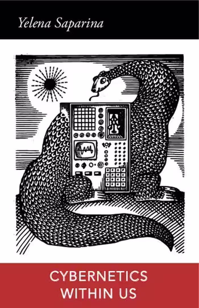 خرید و دانلود نسخه کامل کتاب Cybernetics Within Us