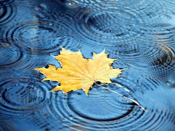 خرید و دانلود عکس Nature-Part-19 کد 35936 | پیک فاکس | Pic Fox