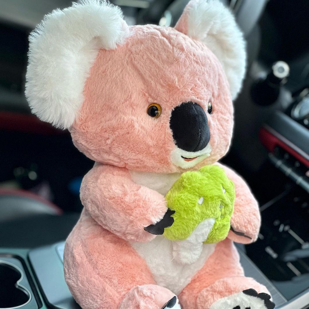 کوالا میوه به دست 40 سانت اورجینال 