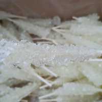 نبات چوبدار سفید درجه یک خانگی سارنیا (نیم کیلو)