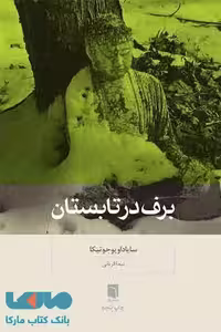 برف در تابستان نشر بینش نو