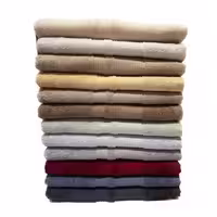 حوله استخری لینتکس مدل گارنت سایز 130*80 - خانه طلایی