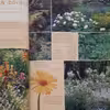 كتاب Late Spring اثر جمعي از نويسندگان انتشارات ریدرز دایجست