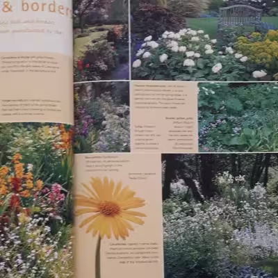 كتاب Late Spring اثر جمعي از نويسندگان انتشارات ریدرز دایجست