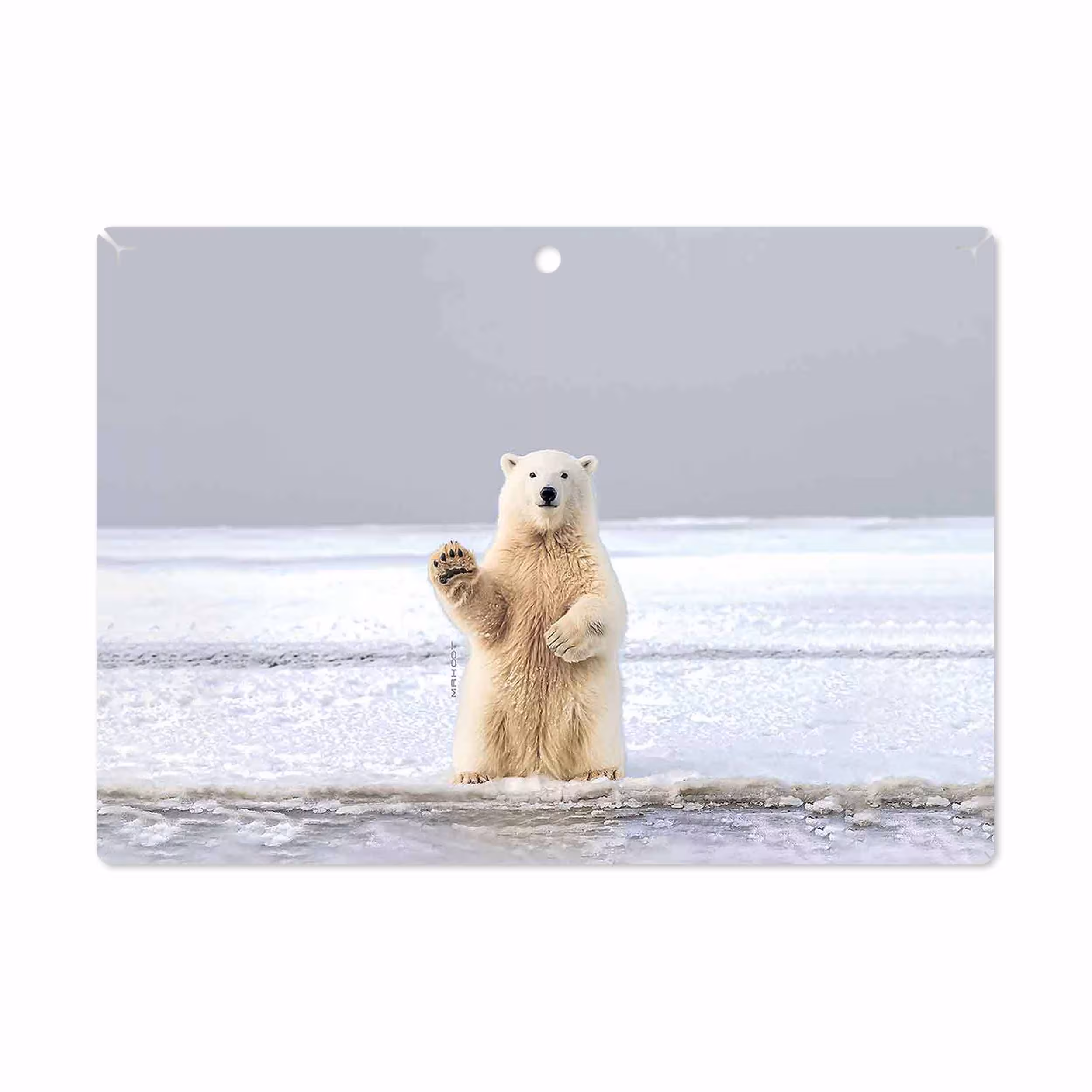 برچسب پوششی ماهوت مدل Polar bear مناسب برای تبلت لنوو Miix 320 2017
