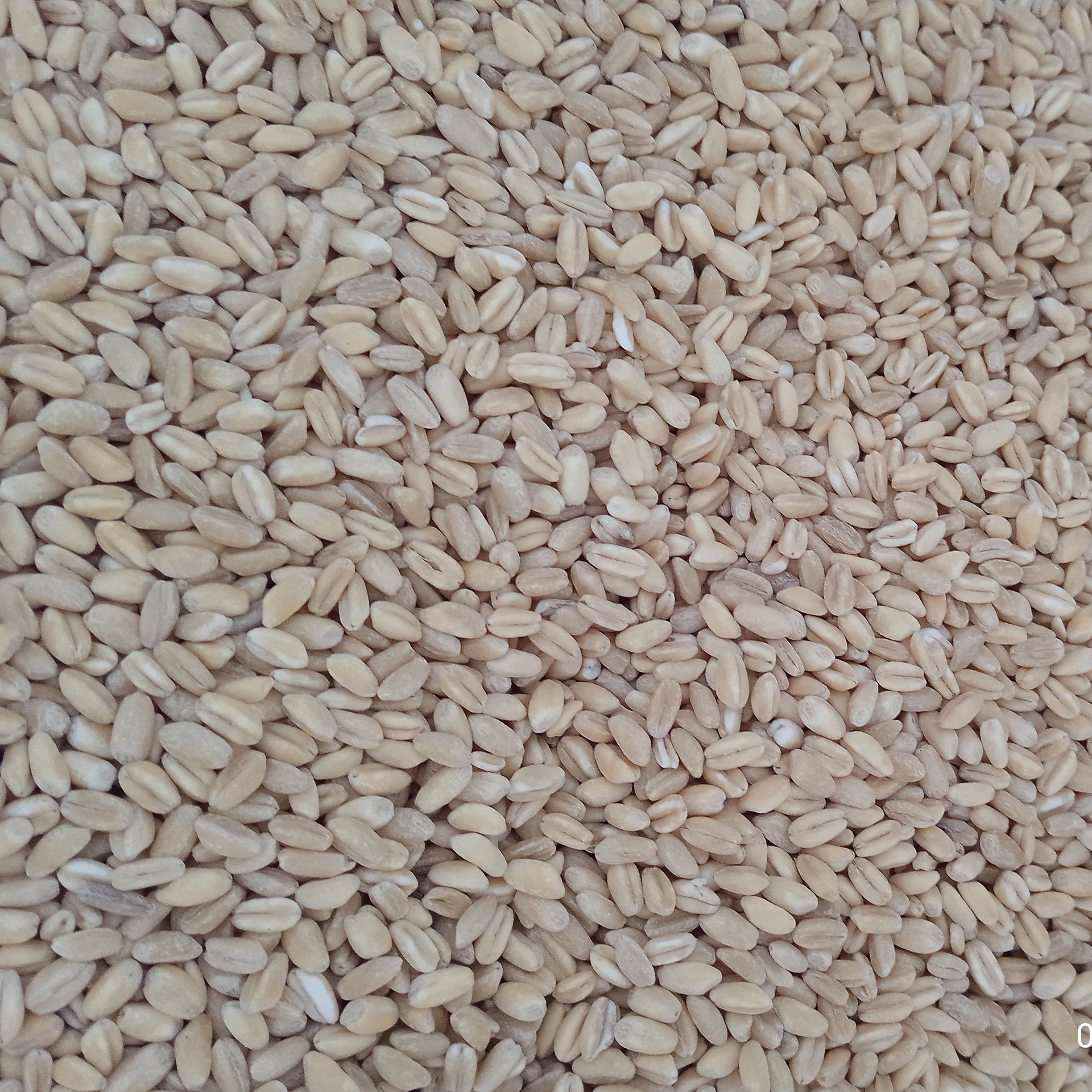 گندم پوست کنده (1000گرم)