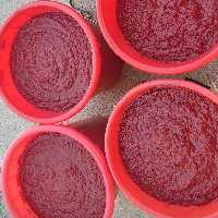 رب گوجه فرنگی 1000