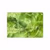 برچسب پوششی ماهوت مدل Green Crystal Marble مناسب برای تبلت اپل iPad Air 2013 A1476