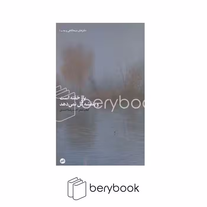 کتاب یار خفته است و بنفشه گل نمی‌دهد / اتفاق