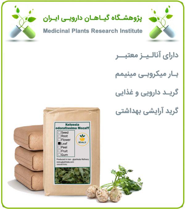 گیاه کرفس کوهی خشک فله