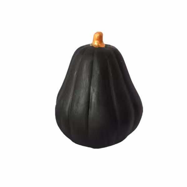 میوه تزئینی مدل کدو تنبل کد 648