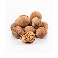 گردو تازه امسالی مغز سفید کوهستانی 