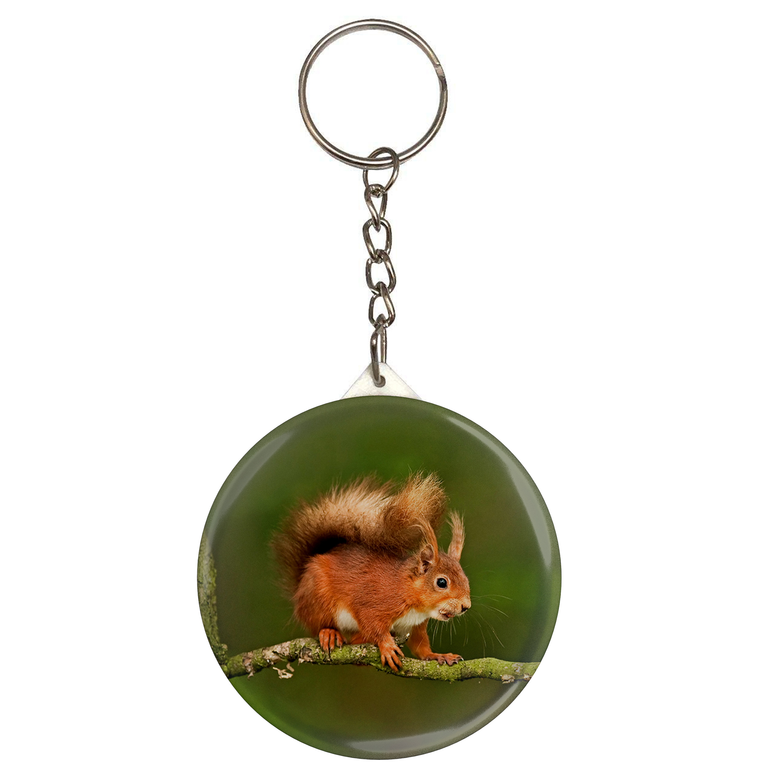 جاکلیدی طرح سنجاب مدل S2006