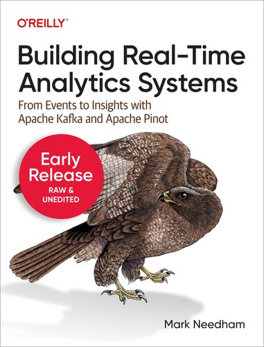خرید و دانلود نسخه کامل کتاب Building Real-Time Analytics Systems (6th Early Release)