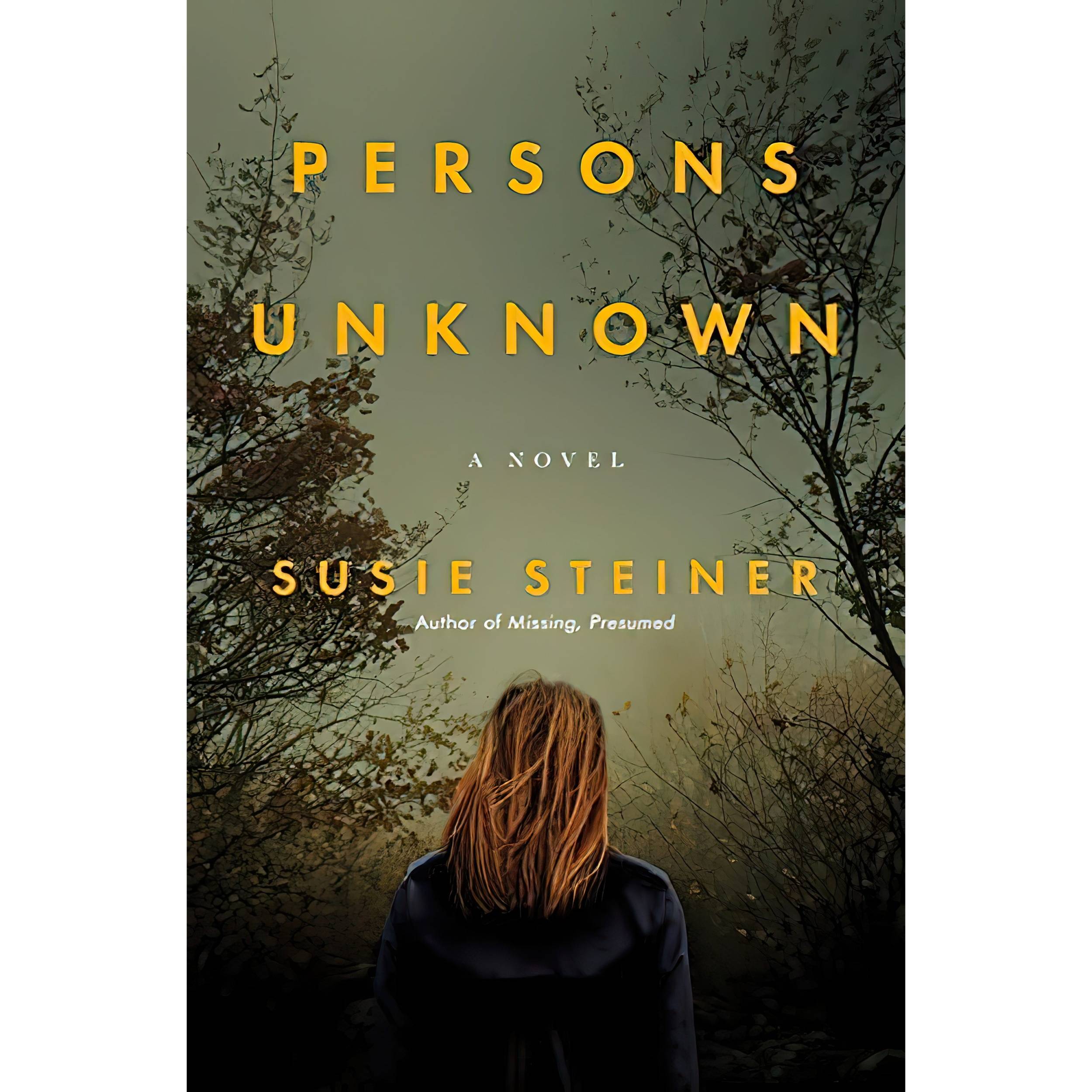 کتاب Persons Unknown اثر Susie Steiner انتشارات Random House