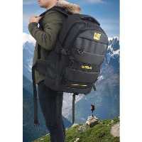 کوله اربعینیcaterpillar