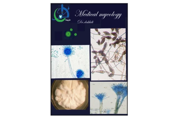قارچ_شناسی🍄(جزوه بسیار کامل) 🔬 - کتابخانه مجازی واتیکان