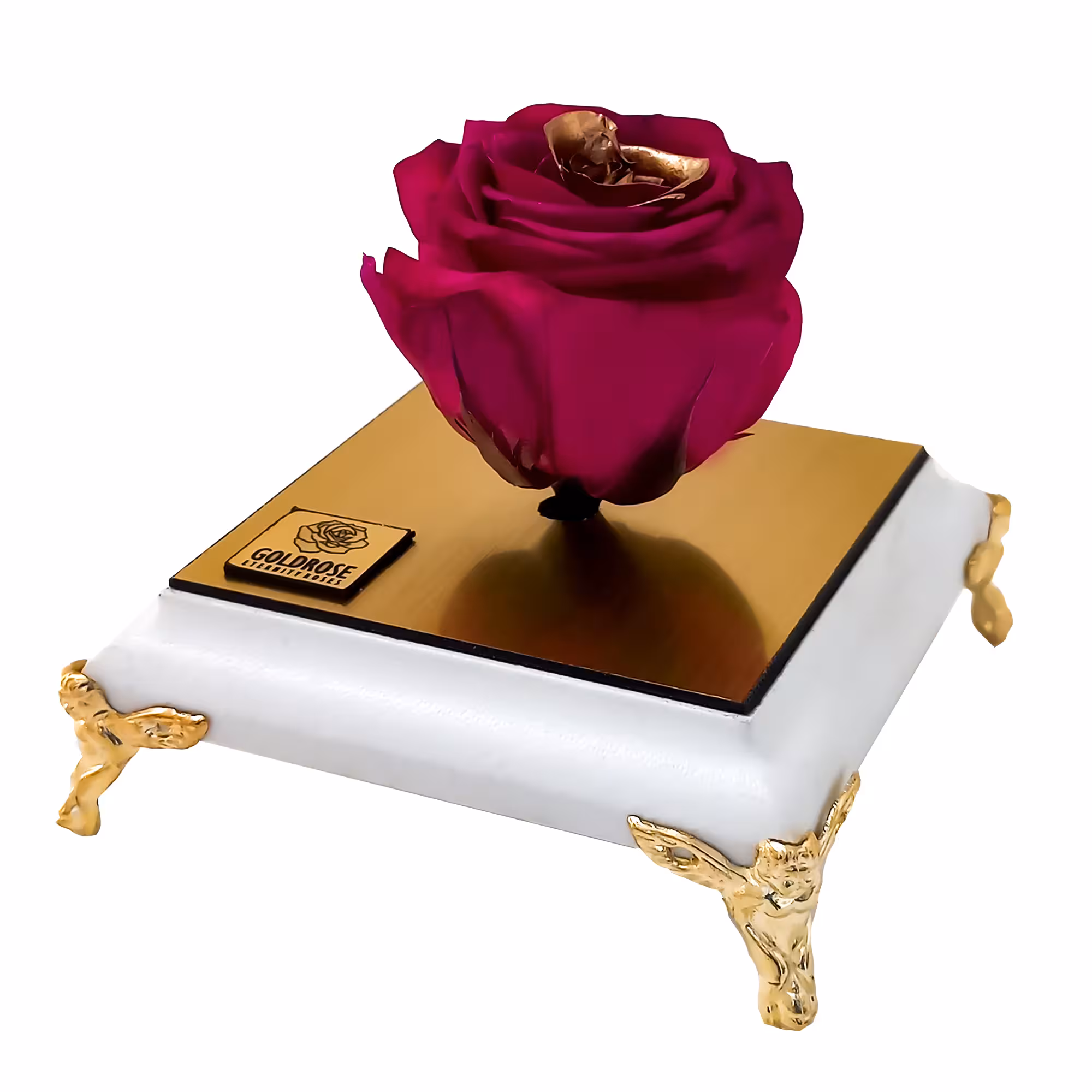گل رز جاودان گلد رز مدل 173