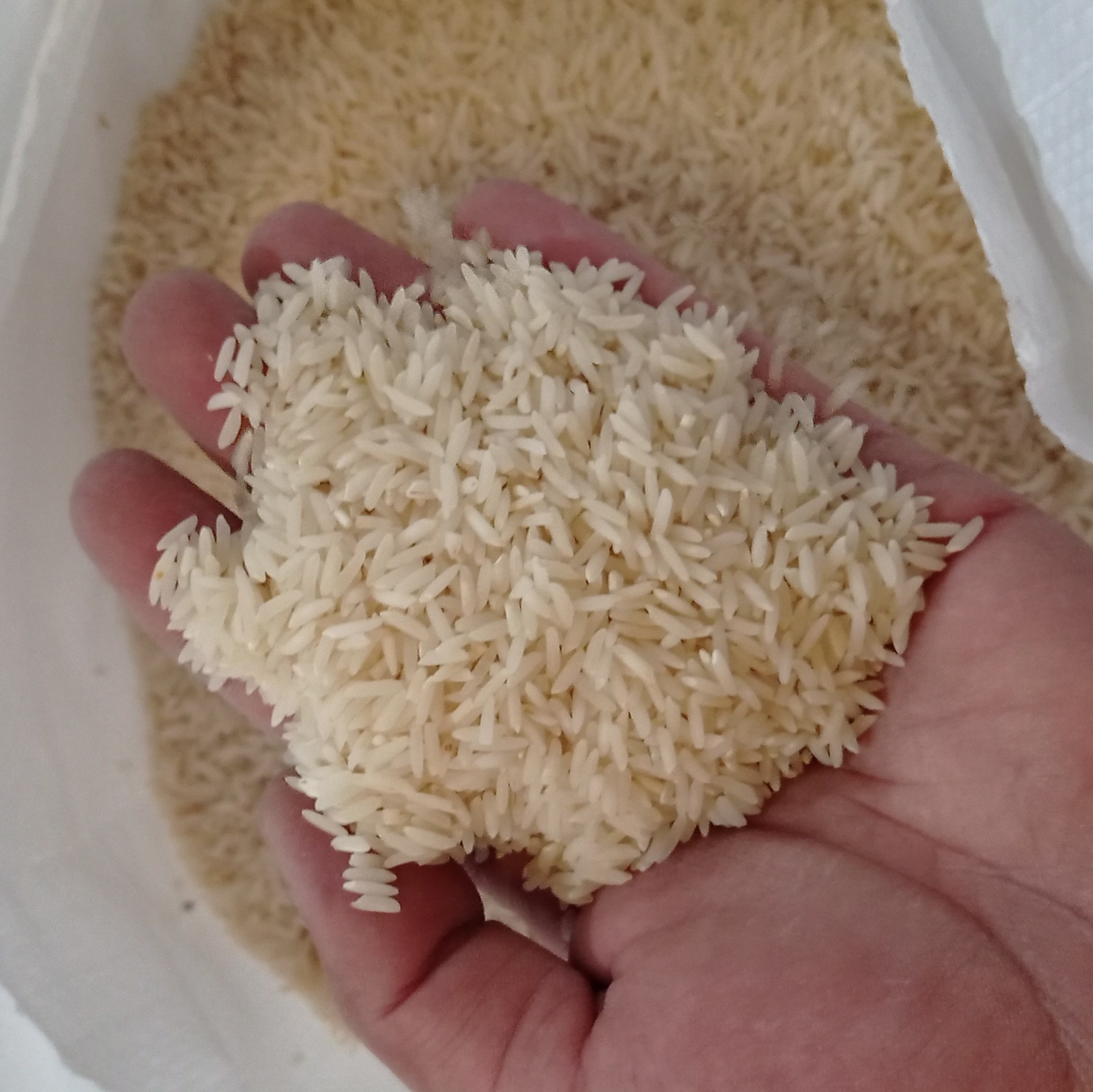برنج طارم محلی درجه یک ممتاز بسته 50 کیلیویی