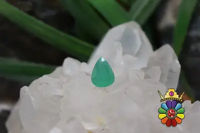 زمرد زامبیا