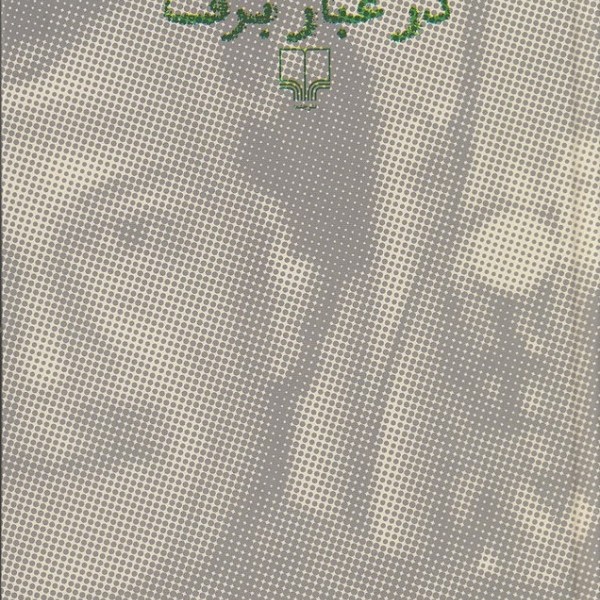 امیرارسلان نامدار