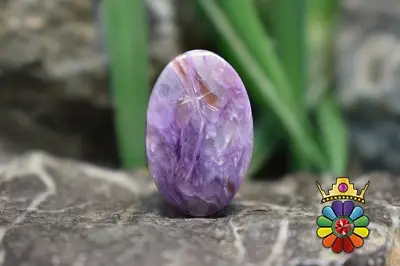 چاروئیت (بنفشان)