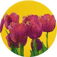 بشقاب دیوارکوب سفالی مدل گل کد 10