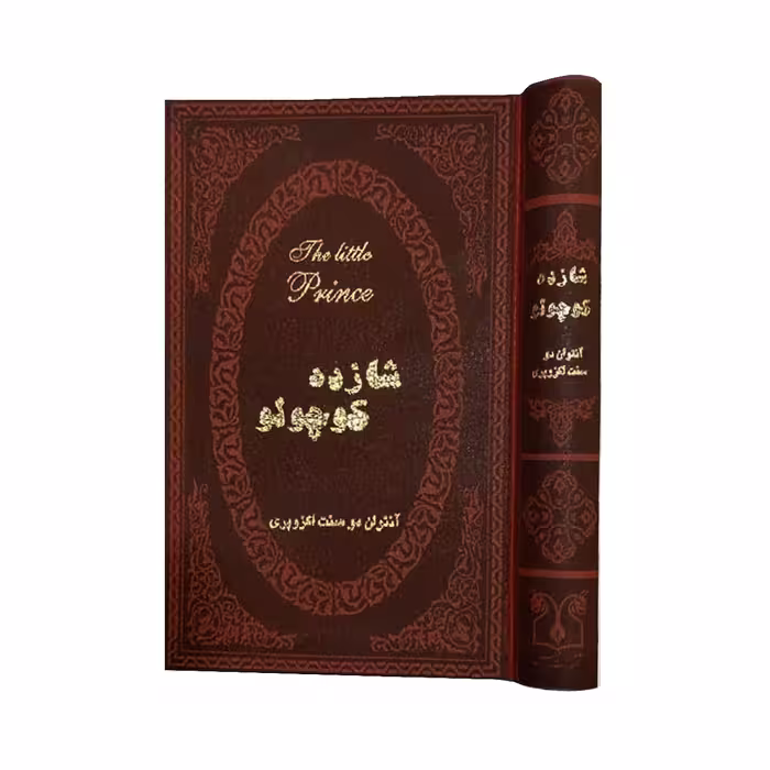 کتاب شازده کوچولو اثر آنتوان دوسنت اگزوپری انتشارات پارمیس
