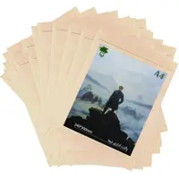 پاکت تیما مدل Pulp بسته 50 عددی