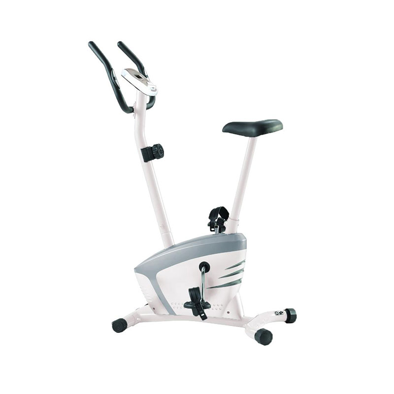 دوچرخه ثابت تایتان فیتنس Titan Fitness 43070
