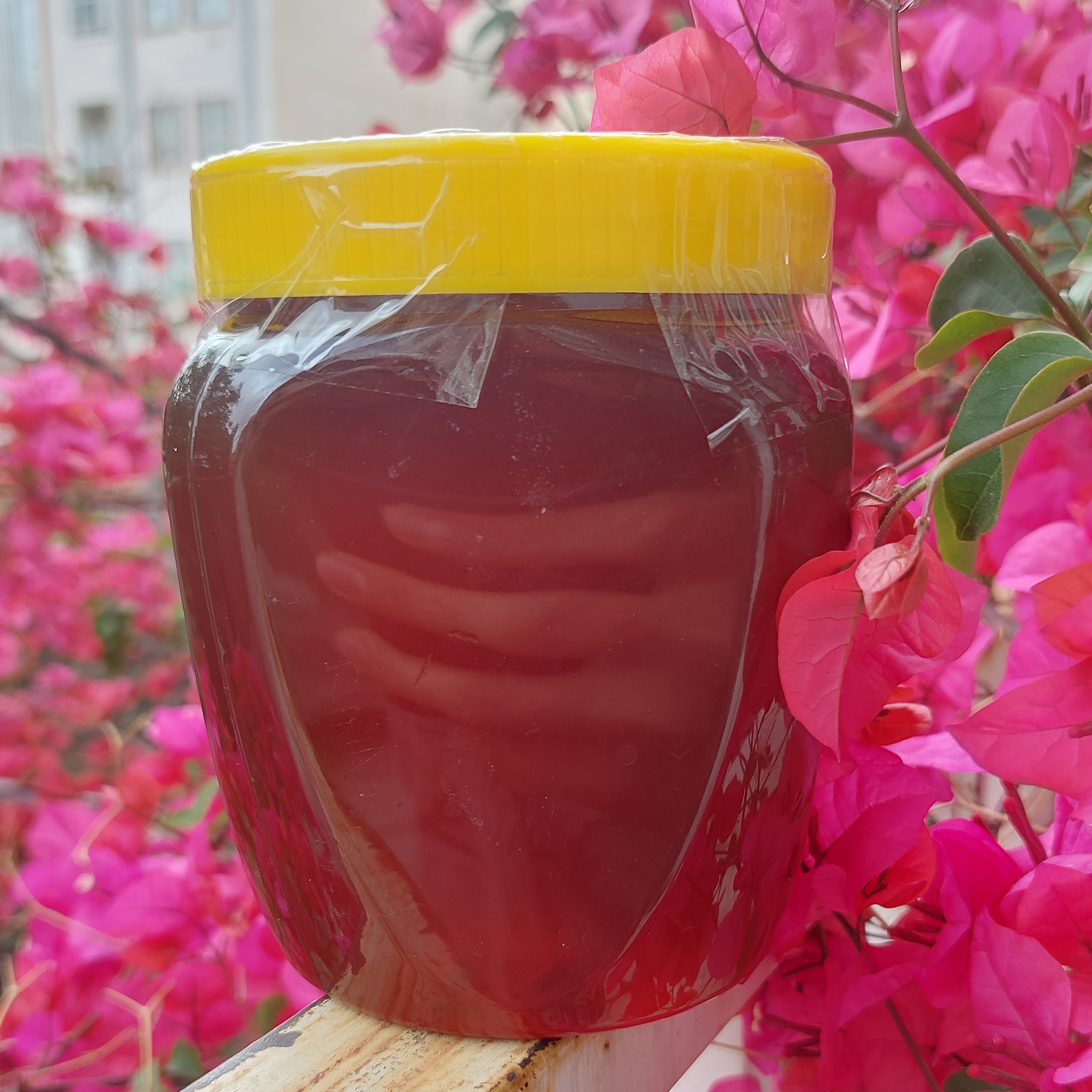 عسل جنگلی (مخصوص  افرادی که سیستم دفاعی ضعیف دارن) سلامتی خریدنی است.