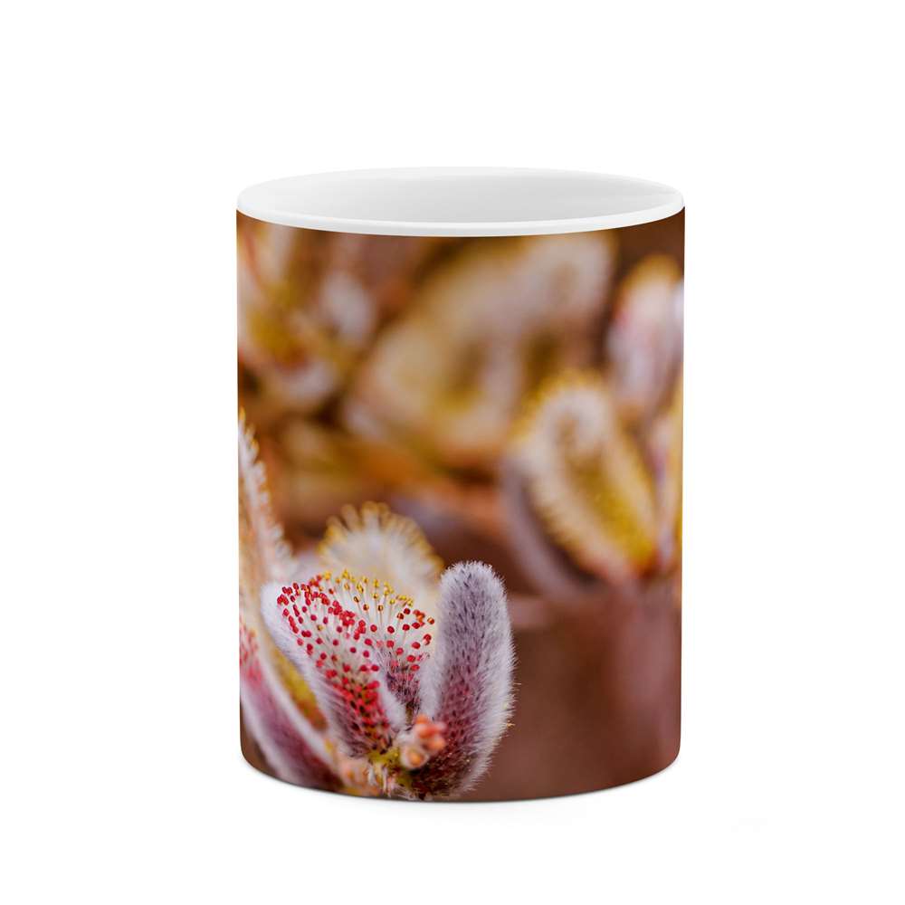 ماگ طرح گل مدل mgs12003