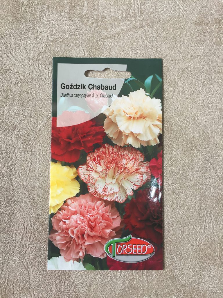 بذر گل میخک