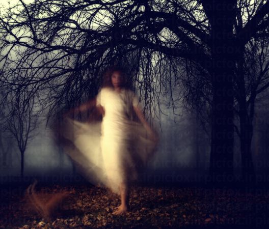 خرید و دانلود عکس Photos With Ghosts And Scary Photos کد 41449 | پیک فاکس | Pic Fox