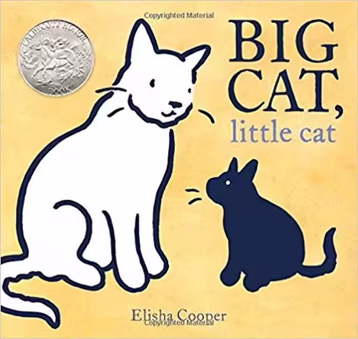 خرید و دانلود نسخه کامل کتاب Big Cat, Little Cat