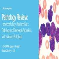 Pathology Review Hematopathology, Head and Neck Pathology and Fine Needle Aspirations for the General Pathologist 2019 Price 15€ - کتاب پزشکی بهار