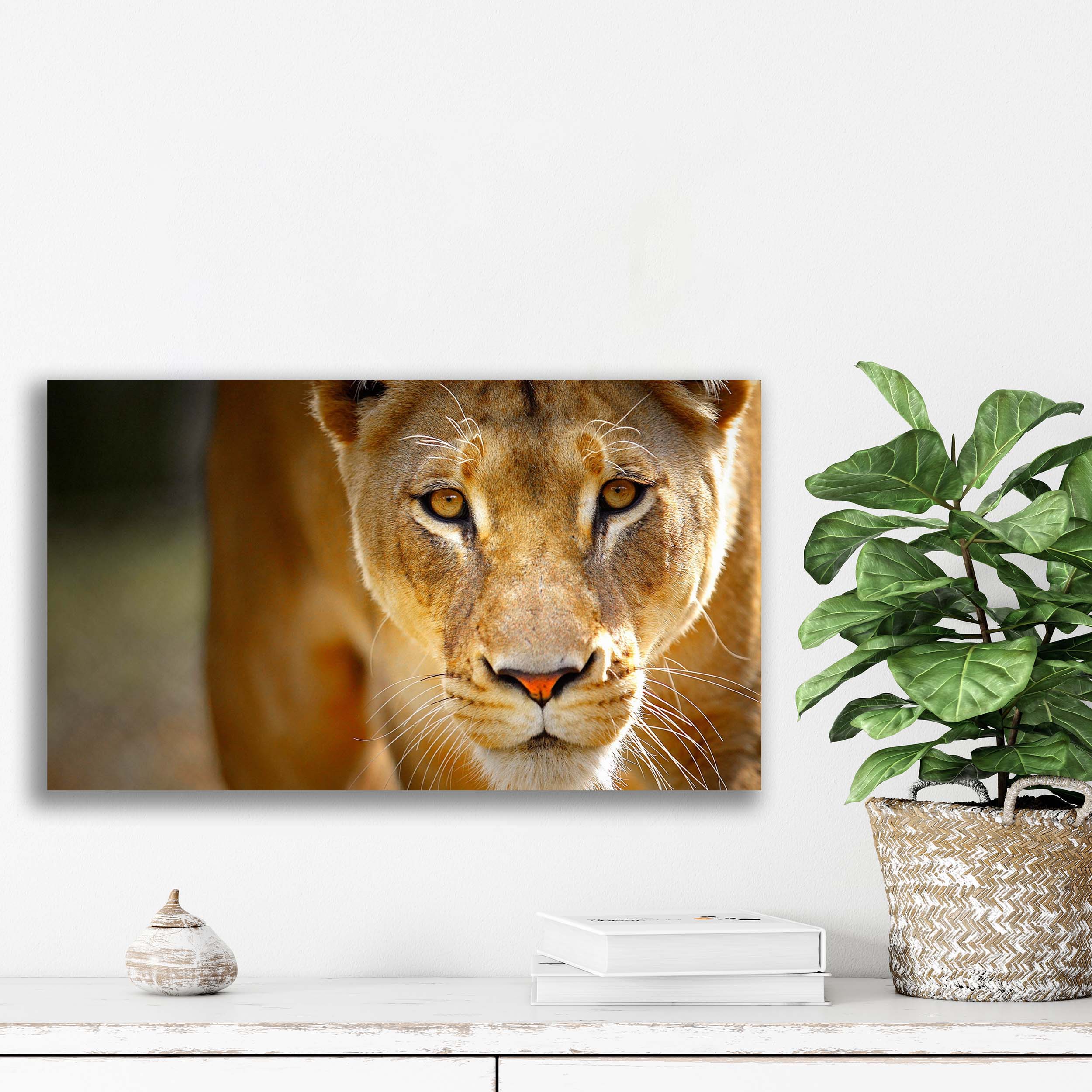 تابلو شاسی آتریسا مدل حیواناتanimal