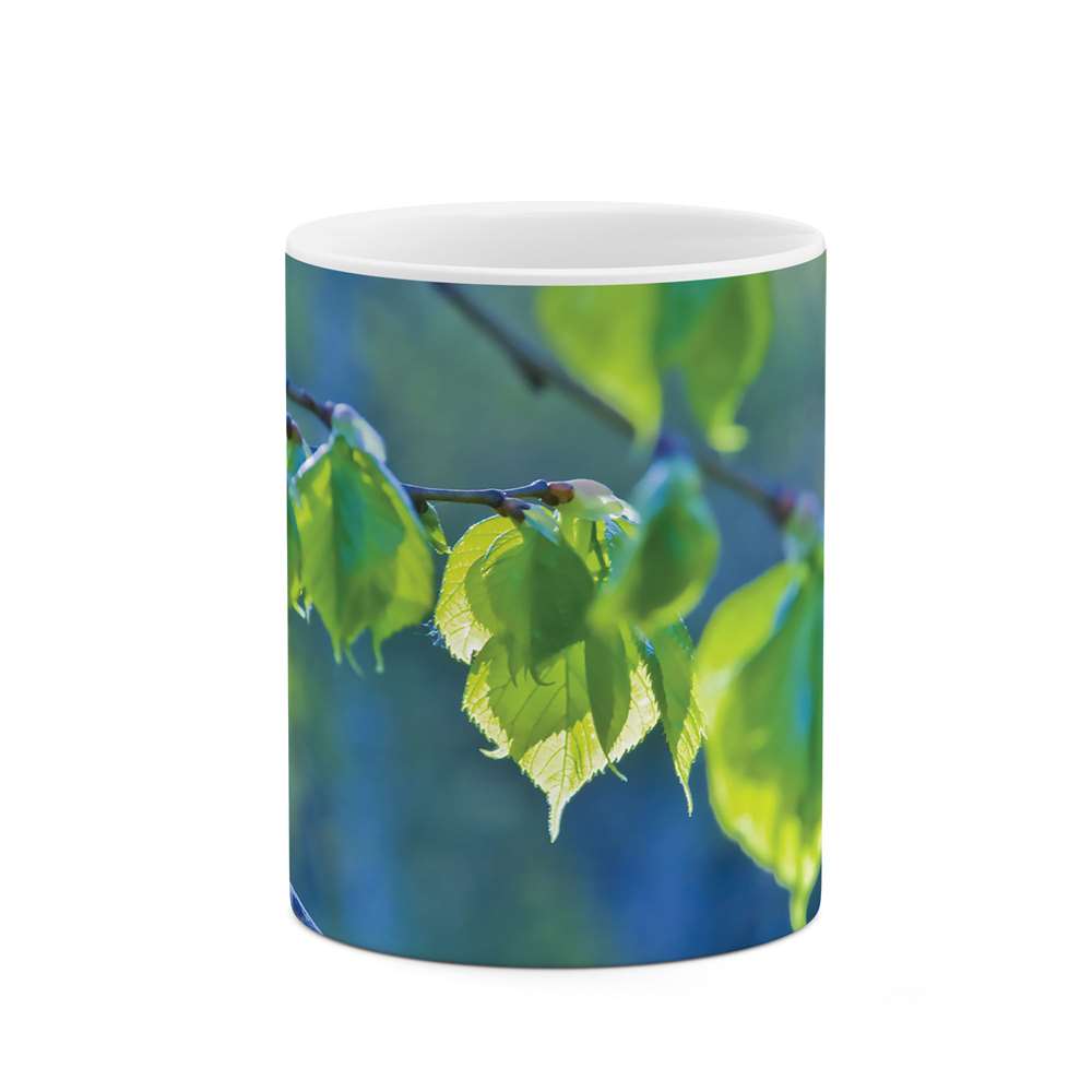 ماگ طرح برگ رنگی مدل mgs06784