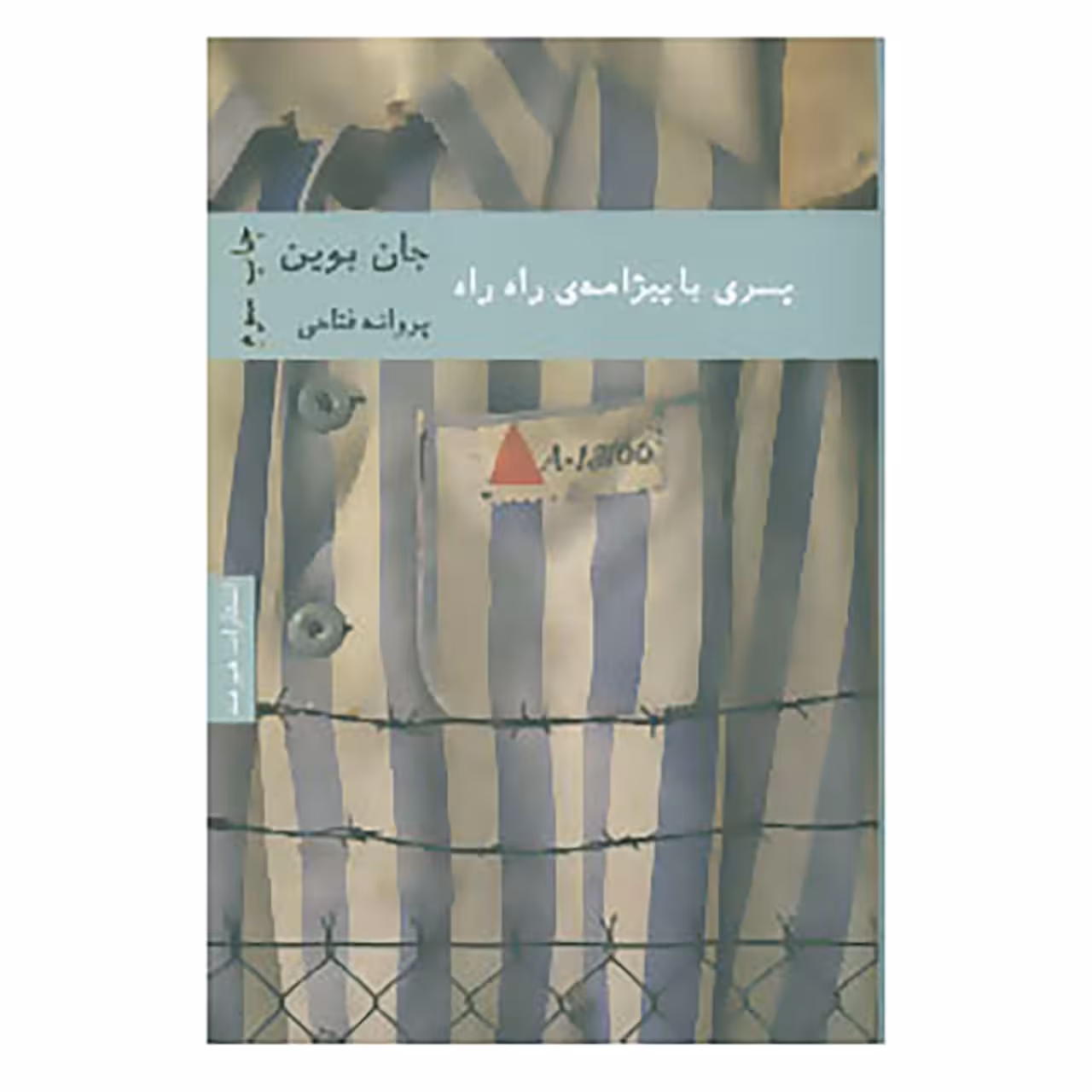 کتاب ادبیات ایرلندی 1 اثر جان بوین