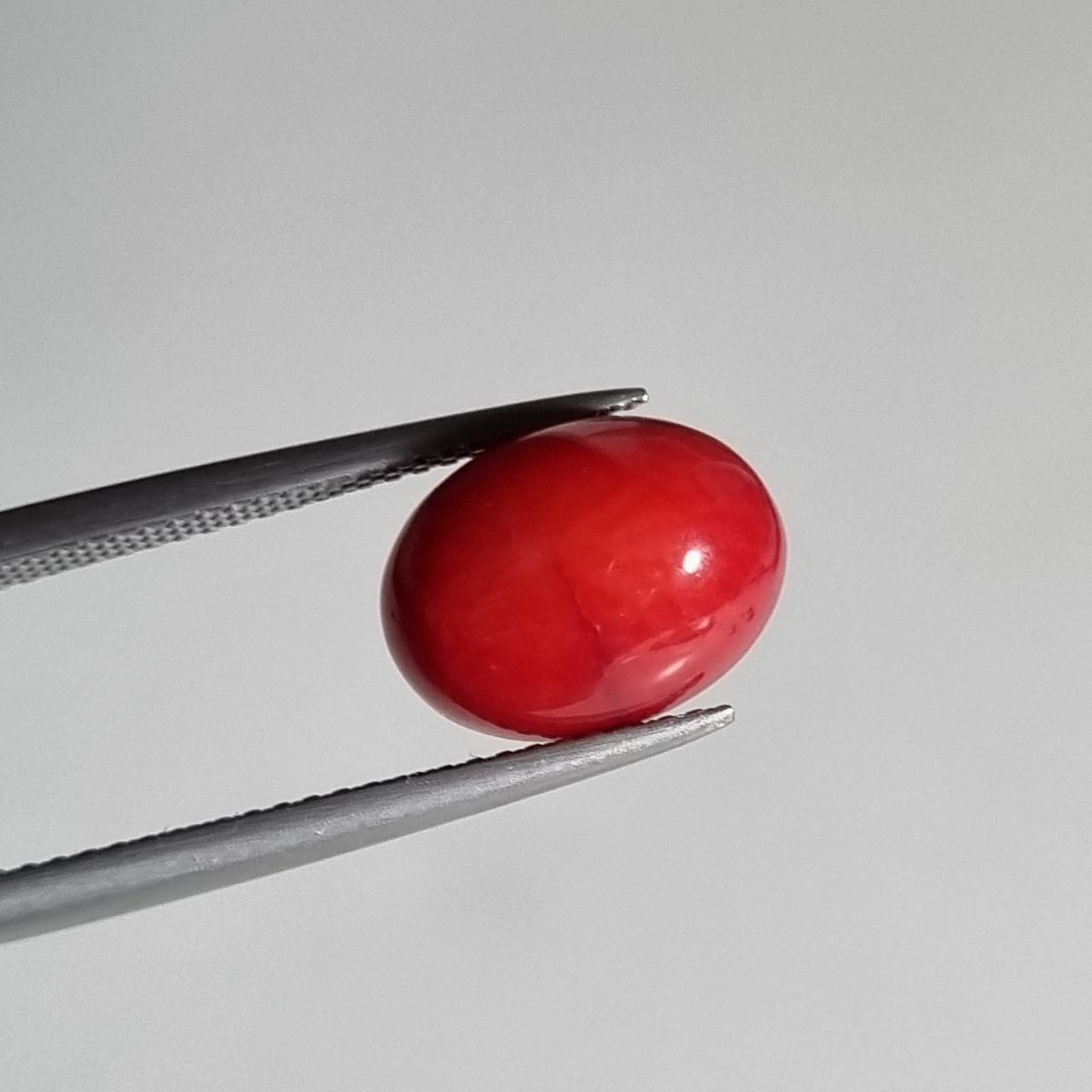 نگین بیضی مرجان بهسازی قرمزرنگ 7930