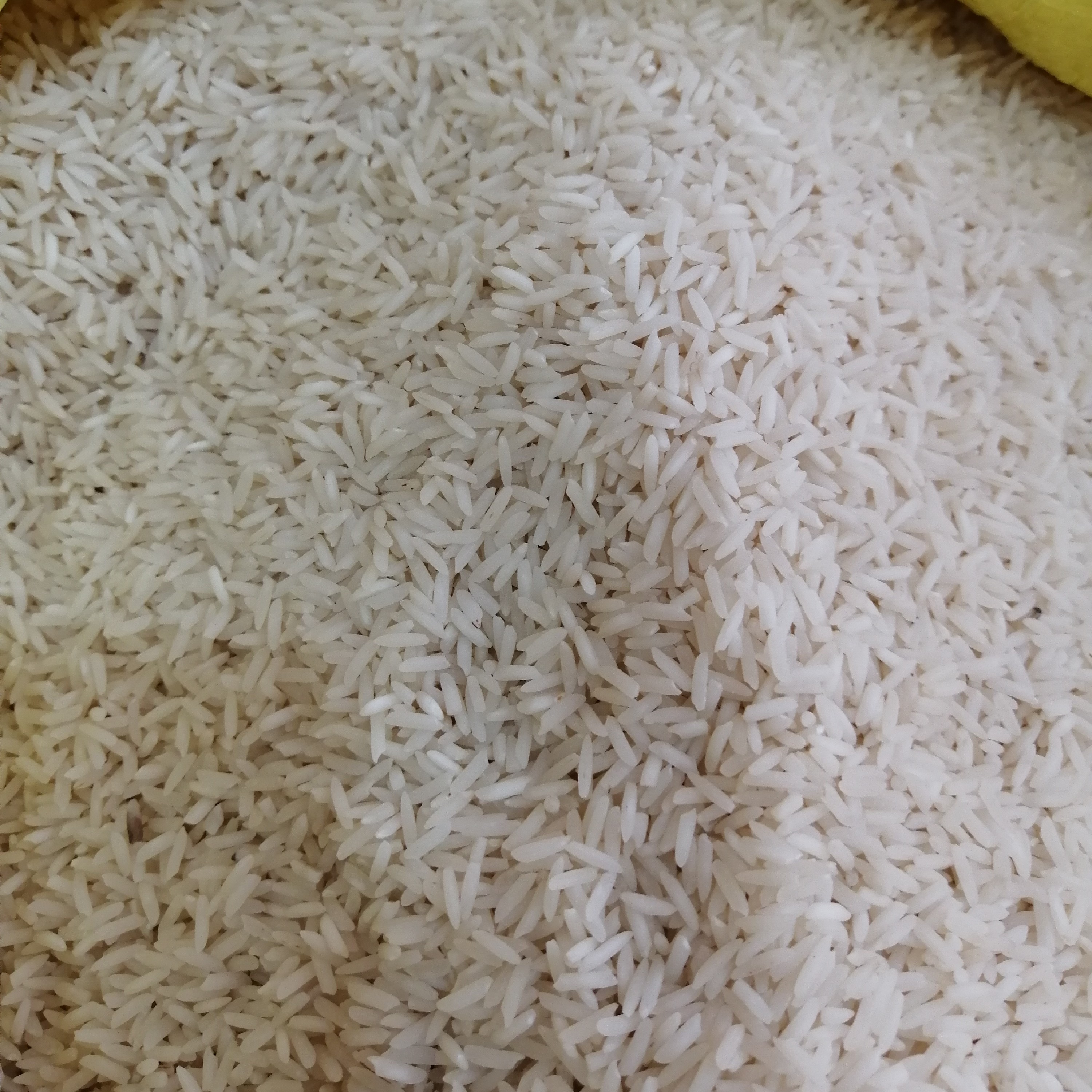 برنج شیرودی استخوانی و اعلا امساله 20 کیلویی