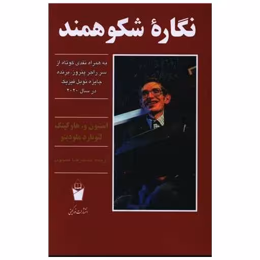 کتاب نگاره شکوهمند اثر استیون هاوکینگ