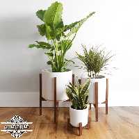 یک عدد استند گلدان چوبی با پایه 60 سانتی با پایه لب گرد(سفارشی)