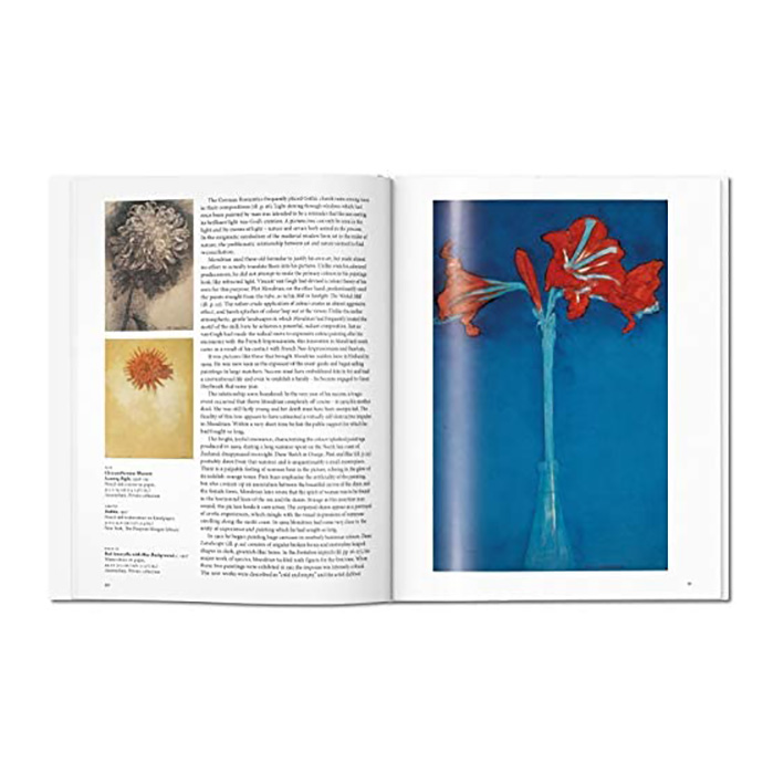 کتاب Mondrian اثر Susanne Deicher انتشارات تاشن