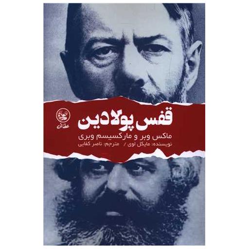 کتاب قفس پولادین اثر مایکل لوی