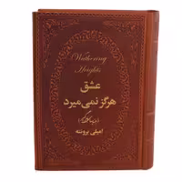 کتاب عشق هرگز نمی میرد اثر امیلی برونته