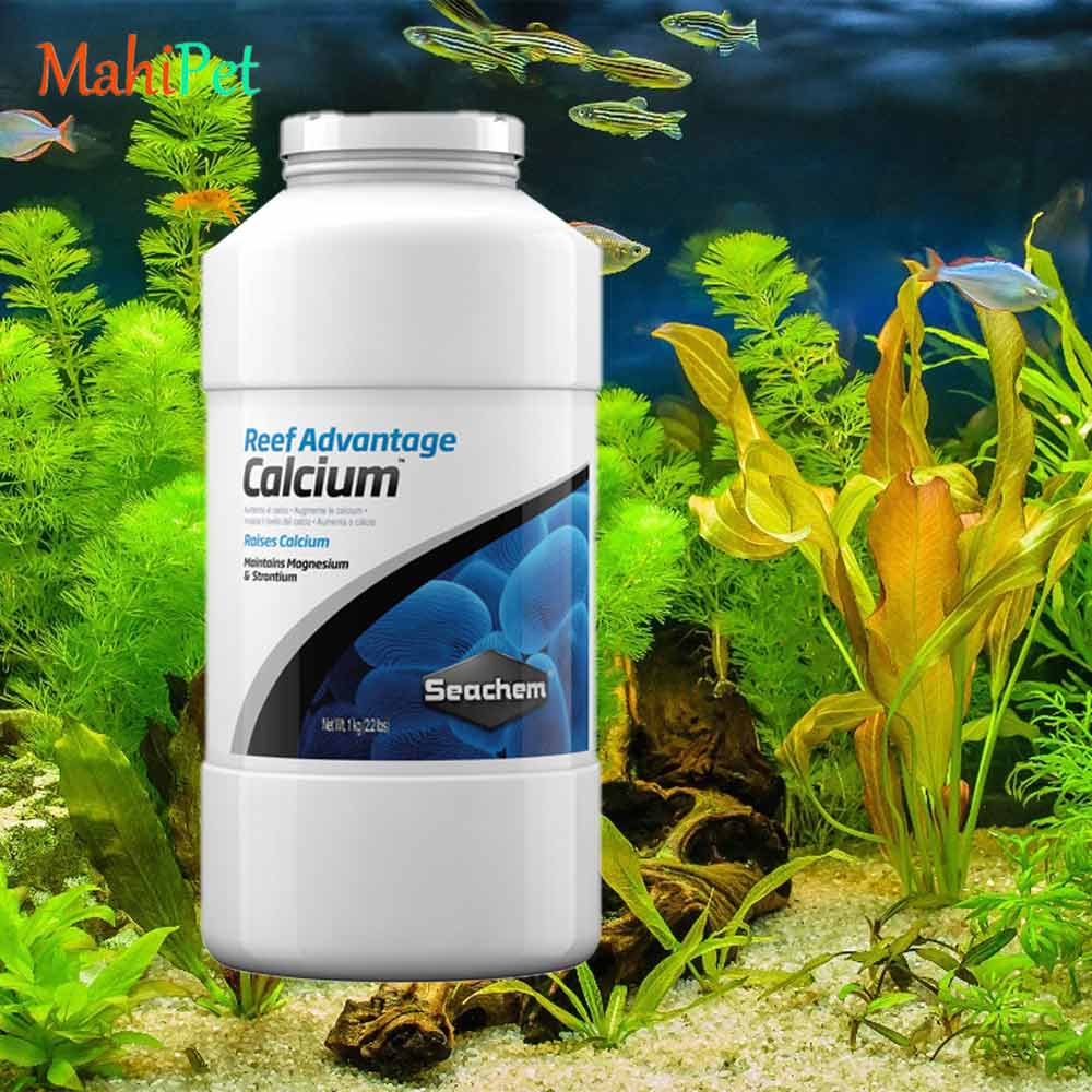 پودر کلسیم آب شور سیچم seachem Reef Advantage Calcium سایز 1 کیلوگرم