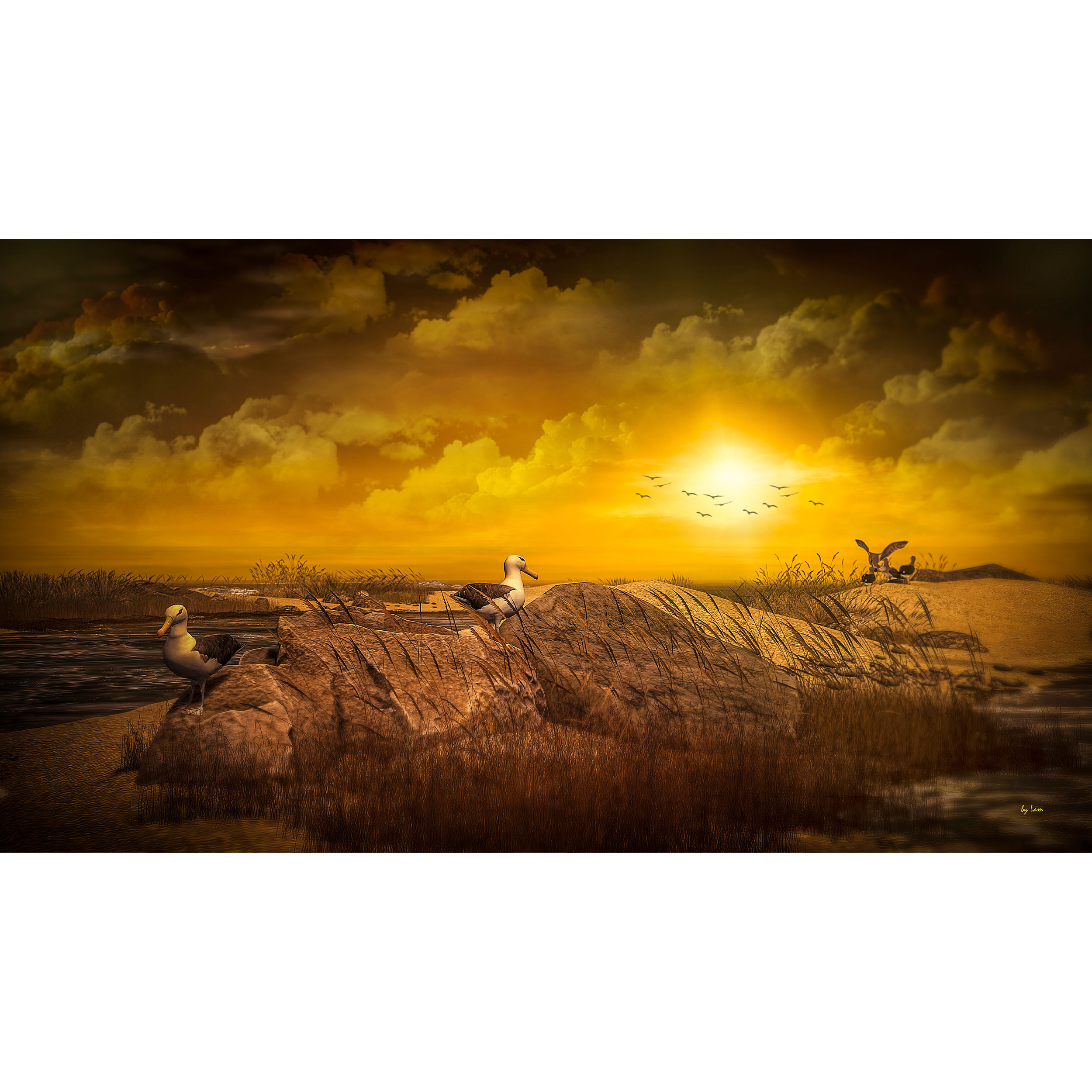 تابلو شاسی طرح مرغ دریایی مدل T7839